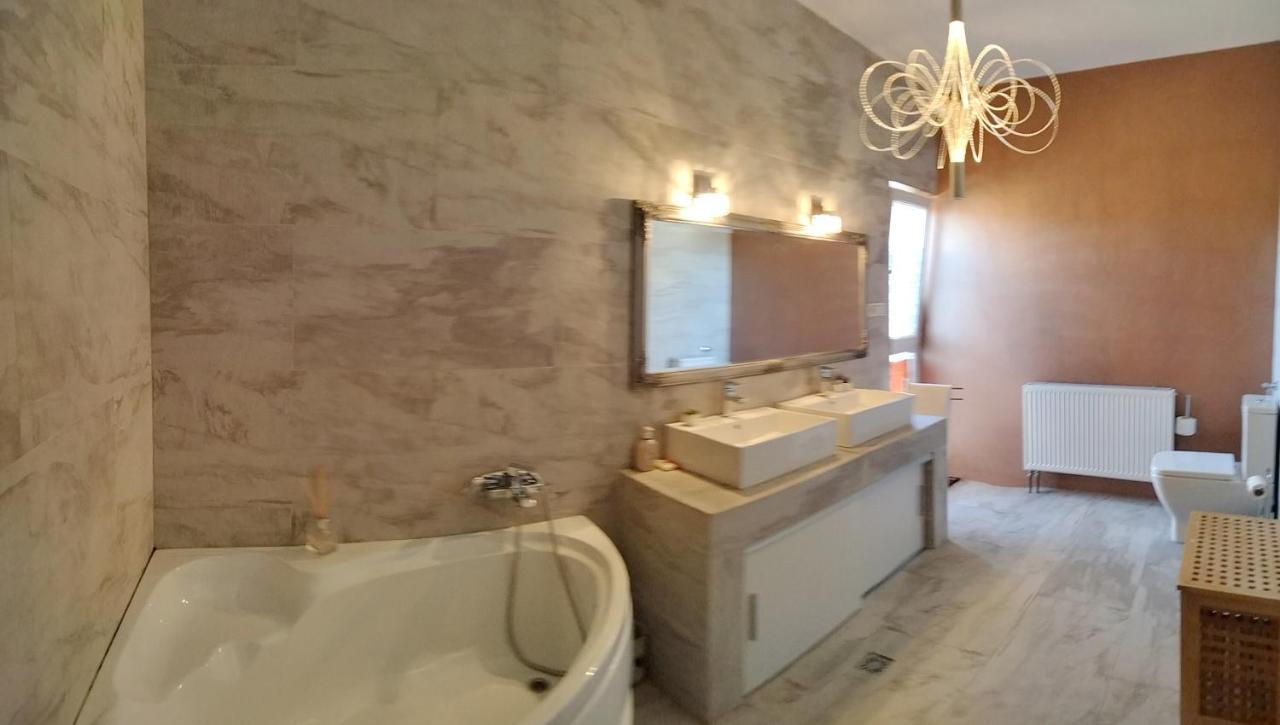Appartement Apartament de lux cu terasă situat în vilă à Timişoara Extérieur photo